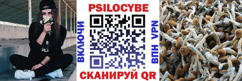 Галлюциногенные грибы мицелий  Ядрин 